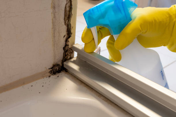 Best Industrial Mold Remediation in Tooele, UT